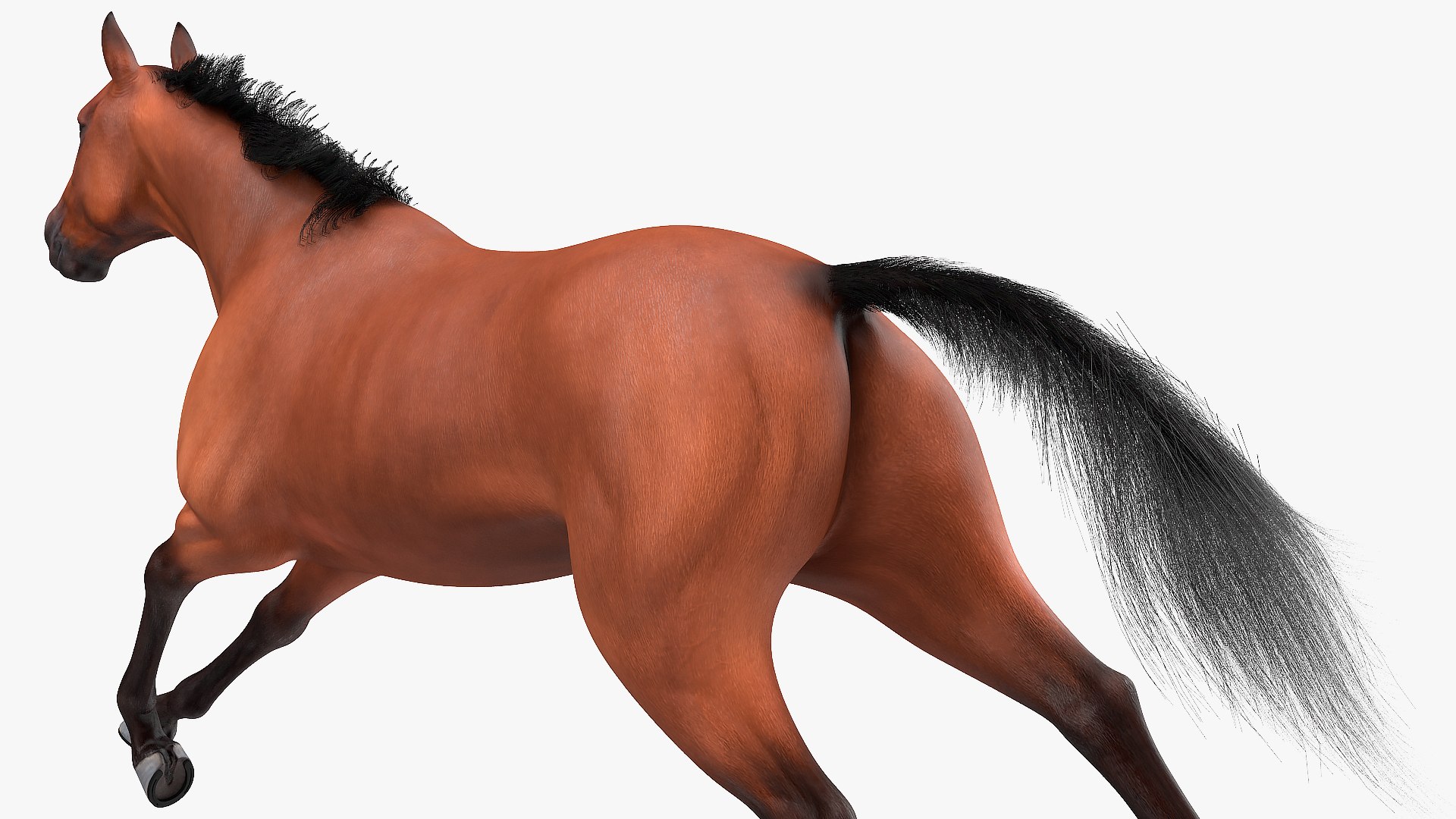 running bay horse racing 3D https://p.turbosquid.com/ts-thumb/zf/oeTQR9/cmGLqb2U/runningbayhorsefur3dmodel009/jpg/1570325082/1920x1080/fit_q87/e27c8aad8916c7f4c0d135f2098ac90054c199b6/runningbayhorsefur3dmodel009.jpg