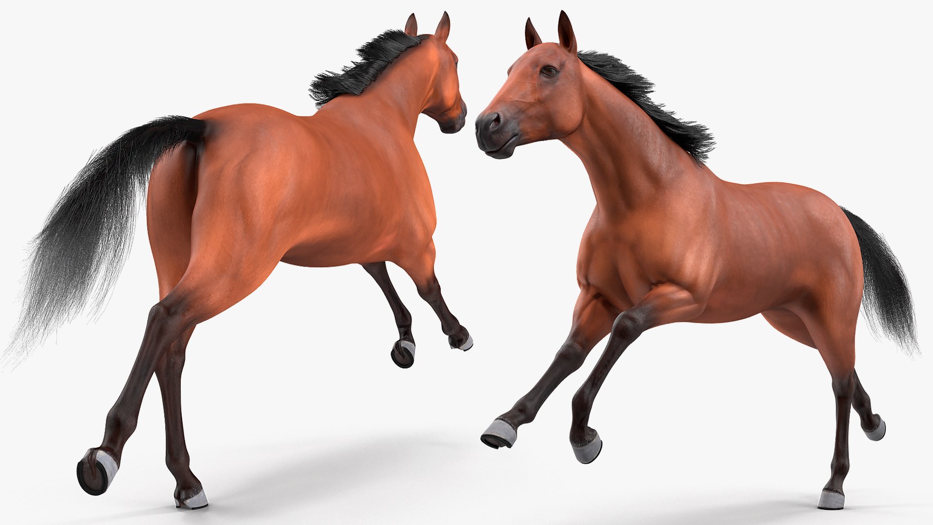 running bay horse racing 3D https://p.turbosquid.com/ts-thumb/zf/oeTQR9/h97W2WEC/runningbayhorsefur3dmodel006/jpg/1570325073/1920x1080/fit_q87/b840ebd6f085c6555ccdf162352fa371e3b2098a/runningbayhorsefur3dmodel006.jpg