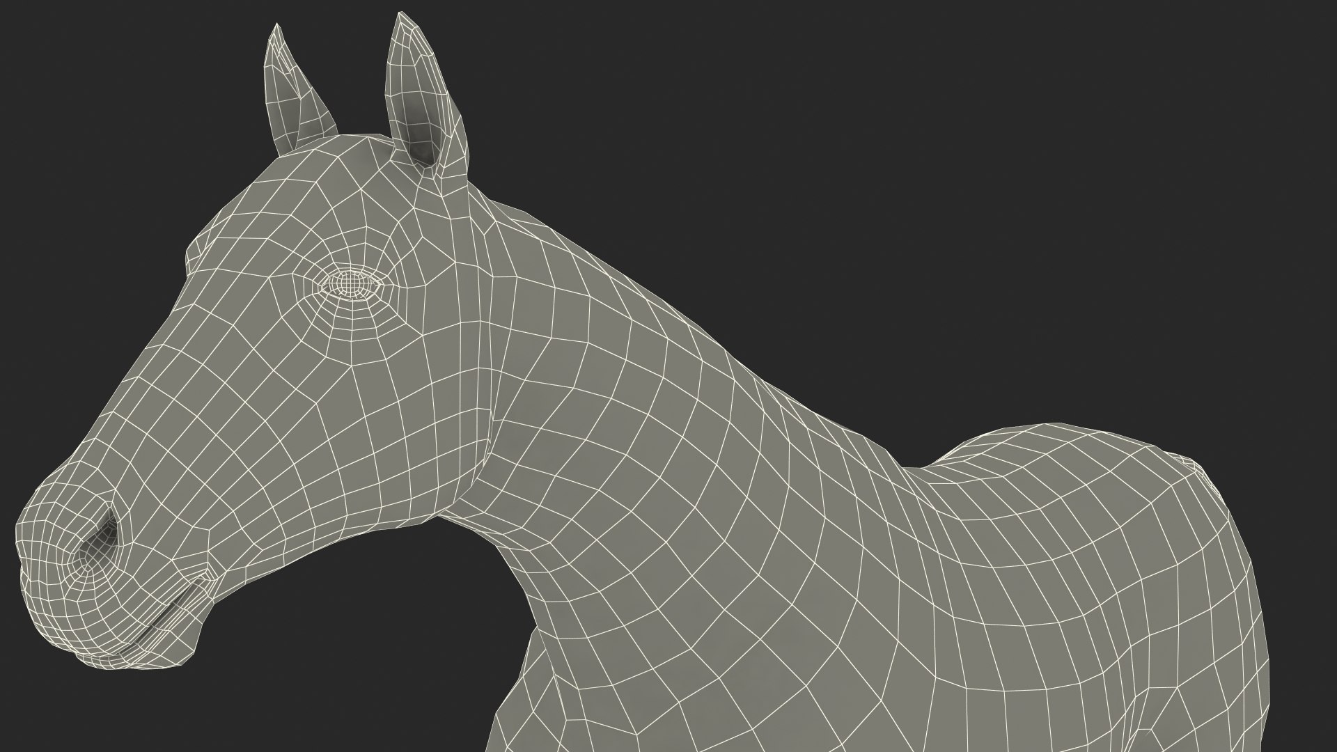 running bay horse racing 3D https://p.turbosquid.com/ts-thumb/zf/oeTQR9/pCeFKbCb/runningbayhorsefur3dmodel022/jpg/1570325124/1920x1080/fit_q87/f0a93c7429350f7e6fa71111498c2eb52d64971a/runningbayhorsefur3dmodel022.jpg
