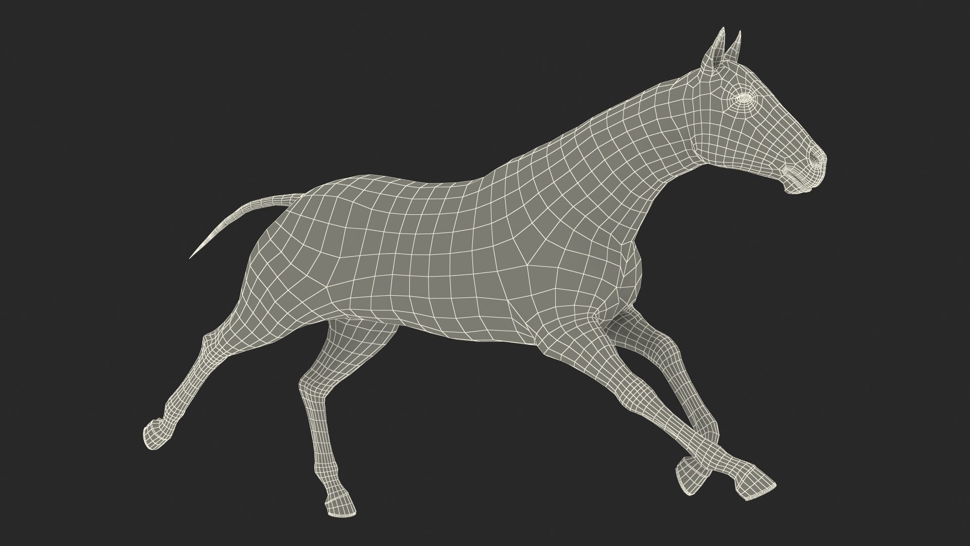 running bay horse racing 3D https://p.turbosquid.com/ts-thumb/zf/oeTQR9/pIbd8odm/runningbayhorsefur3dmodel019/jpg/1570325115/1920x1080/fit_q87/ce14f0a685a353e41af9440bb8764c87dafcced9/runningbayhorsefur3dmodel019.jpg