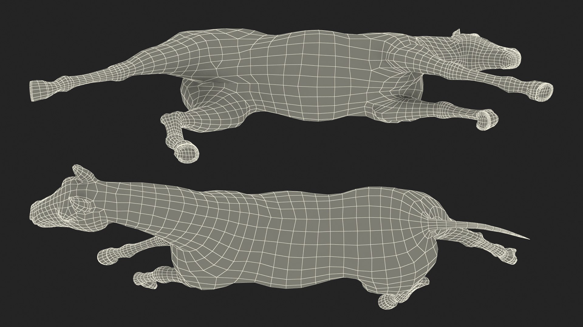running bay horse racing 3D https://p.turbosquid.com/ts-thumb/zf/oeTQR9/xQmCxv8M/runningbayhorsefur3dmodel021/jpg/1570325121/1920x1080/fit_q87/92df29b2d133c126da7b35e99c8af947e1c6e64e/runningbayhorsefur3dmodel021.jpg