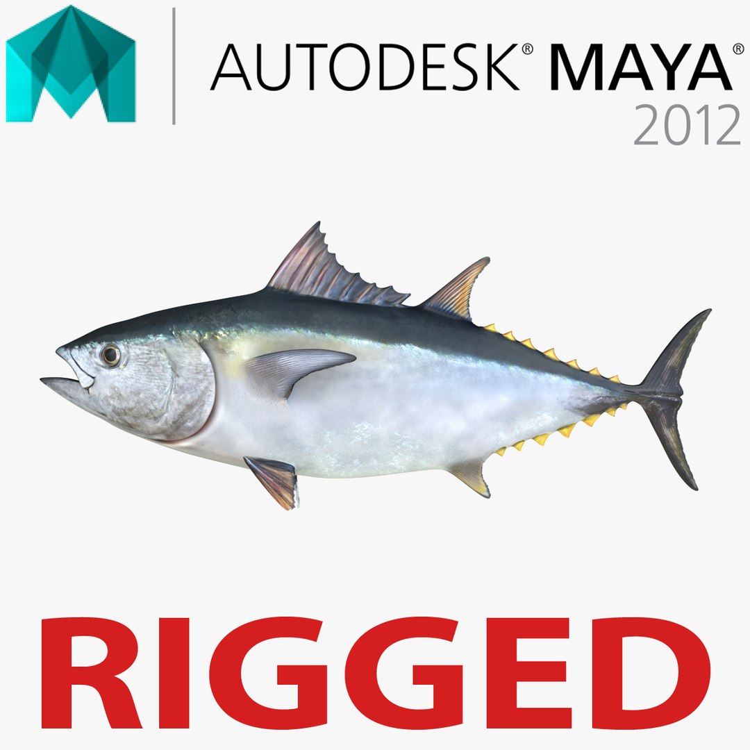 Tuna Fish Rigged for Maya 3D model preview