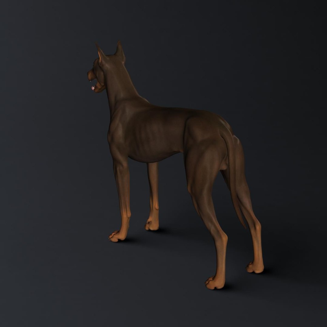 3d Model Doberman Dog