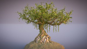 tree fantasy old 3D model