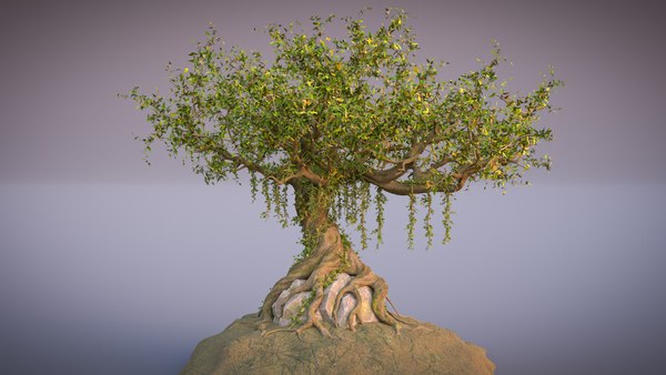 ファンタジーオールドツリー3dモデル Turbosquid