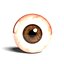 Eyeballs 3D model