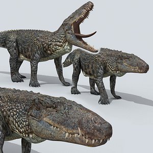 Postosuchus Barinasuchus Fasolasuchus HD - 3d animated model