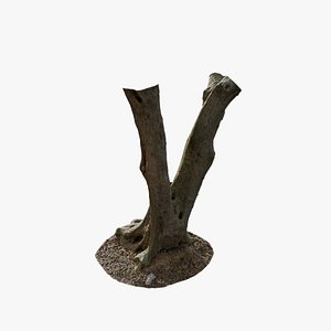 3D Anydrafts Olea europaea Trunk 06 model