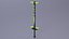 Balance Stilts Collection