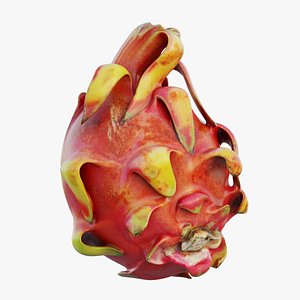 dragon fruit 08 3D model
