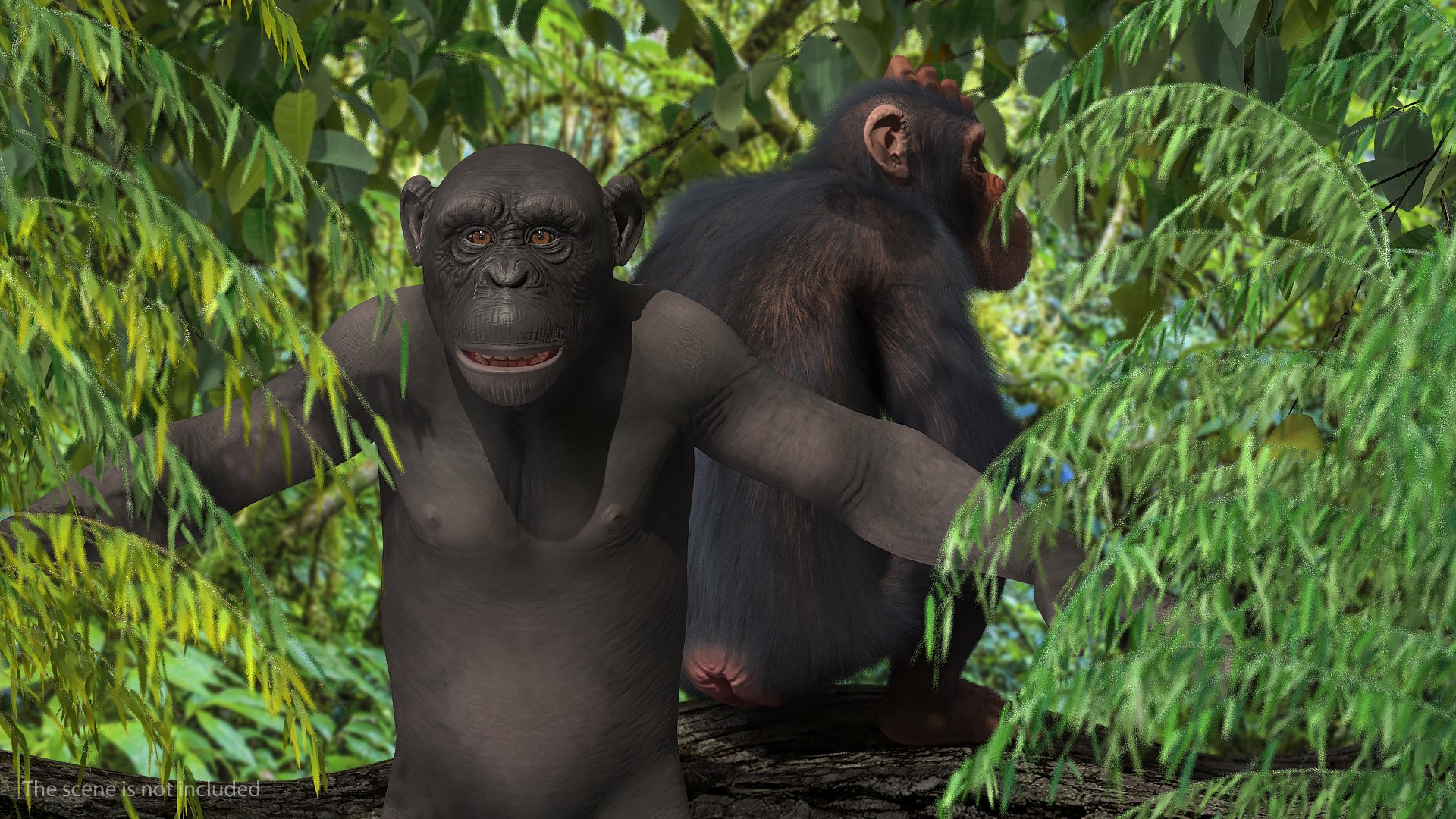3D dark chimpanzee pan https://p.turbosquid.com/ts-thumb/zg/UJc9QB/ItBLcSUk/darkchimpanzeemb3dmodel002/jpg/1564619506/1920x1080/fit_q87/4fe0bcc25109d574fcce3a3d5fdae0ae41b3b675/darkchimpanzeemb3dmodel002.jpg