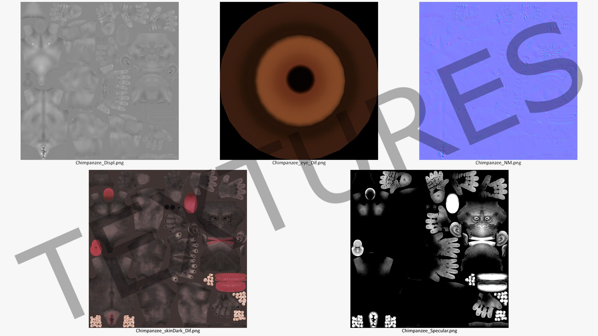 3D dark chimpanzee pan https://p.turbosquid.com/ts-thumb/zg/UJc9QB/Nx2j36Xt/darkchimpanzeemb3dmodel014/jpg/1564619571/1920x1080/fit_q87/f86bd5282f4413dd3737502343f9cb3ebe549a3b/darkchimpanzeemb3dmodel014.jpg