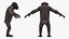 Chimpanzé noir