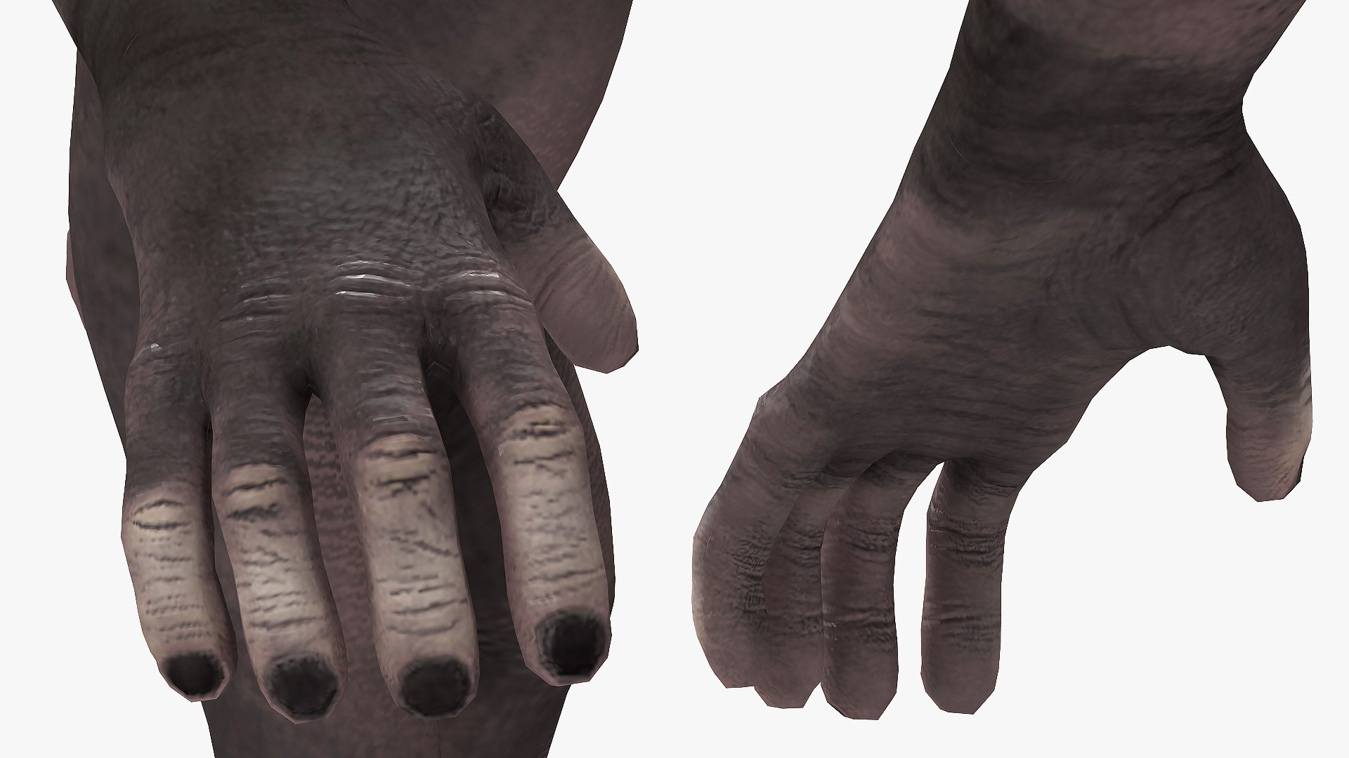3D dark chimpanzee pan https://p.turbosquid.com/ts-thumb/zg/UJc9QB/eZHmL8CY/darkchimpanzeemb3dmodel010/jpg/1564619554/1920x1080/fit_q87/3784e872a28390f4bff3297b4fc03c280e9c3a10/darkchimpanzeemb3dmodel010.jpg