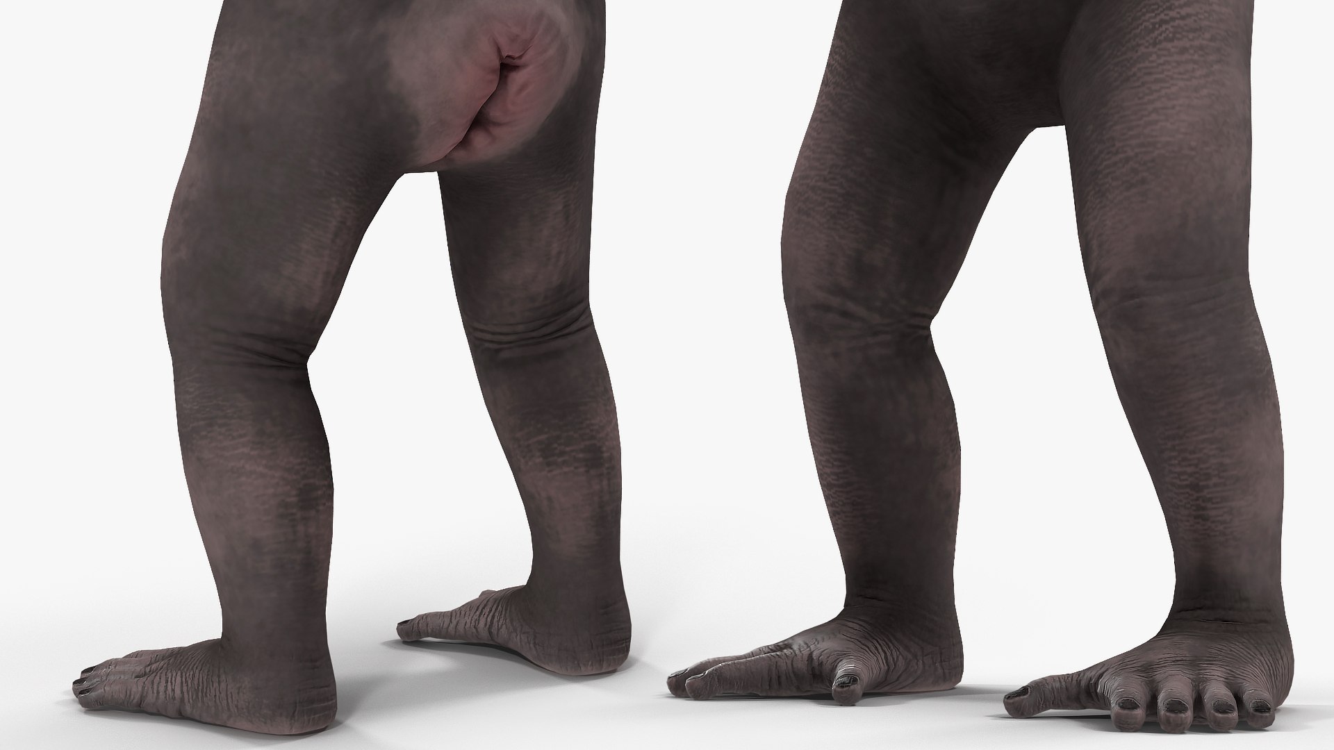 3D dark chimpanzee pan https://p.turbosquid.com/ts-thumb/zg/UJc9QB/kmhvBuRA/darkchimpanzeemb3dmodel008/jpg/1564619545/1920x1080/fit_q87/b55ad79c99c6a01231e8aed33d920743f9209ab7/darkchimpanzeemb3dmodel008.jpg