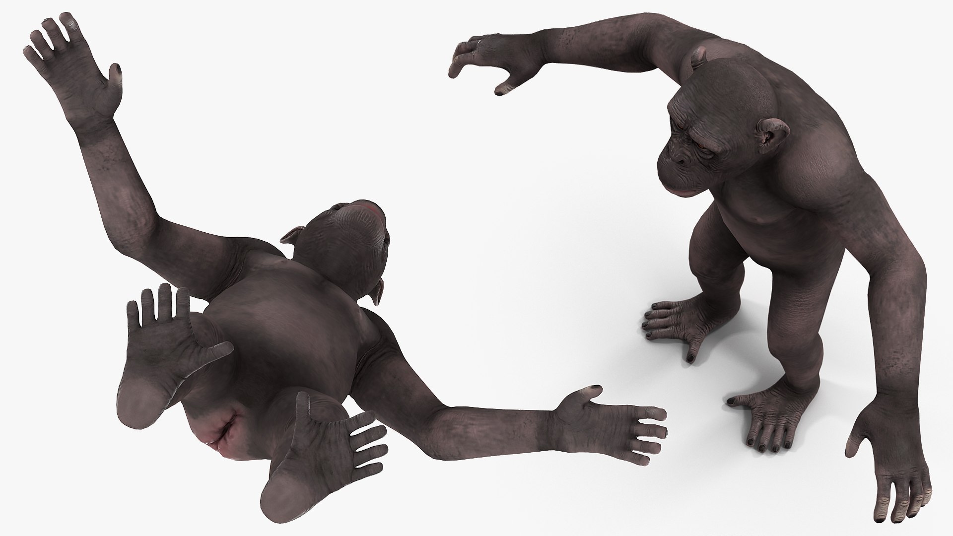 3D dark chimpanzee pan https://p.turbosquid.com/ts-thumb/zg/UJc9QB/yY24DXVM/darkchimpanzeemb3dmodel004/jpg/1564619515/1920x1080/fit_q87/cd748b9179a2c8ebd6f897781978f259a39f9afd/darkchimpanzeemb3dmodel004.jpg