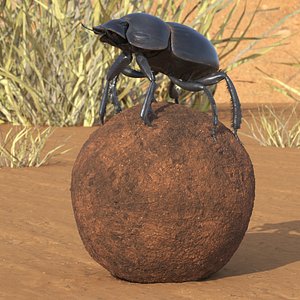 Scarabs on Sphere Dirt Fur
