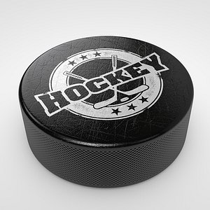 3D model hockey puck