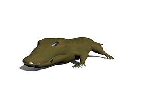 3d alligator
