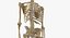3D model real human male skeleton bones
