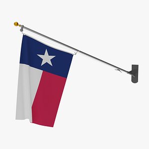 3D Wall Flag Texas T2