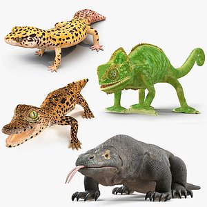 コモドドラゴン3Dモデルダウンロード用。TurboSquid