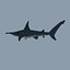 simple hammerhead shark