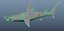 simple hammerhead shark