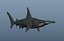 simple hammerhead shark