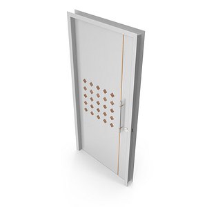 Modern Design White Metal Steel Door with Wooden Details model 3D