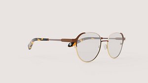 3D JF Rey Petite - PM061 8095 Glasses model