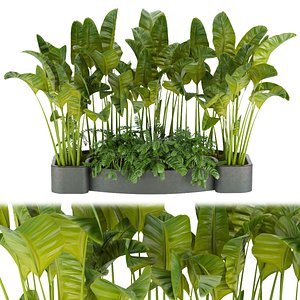 3D Collection plant vol 301- outdoor- leaf -  blender - 3dmax - cinema 4d