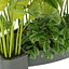 Collection plant vol 301- outdoor- leaf - 3dmax - cinema 4d