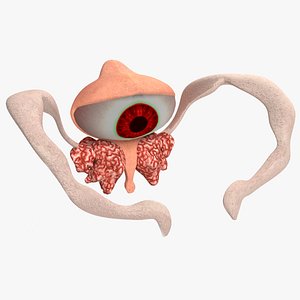 Evil Eye Monster