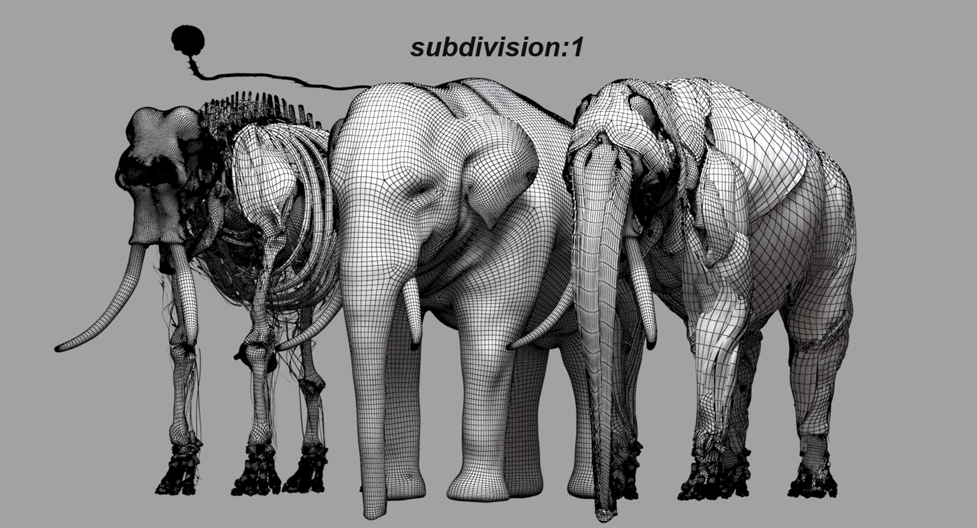 asian elephant anatomy 3D model https://p.turbosquid.com/ts-thumb/zh/xVVRuv/ekXTreC3/52/jpg/1552699784/1920x1080/fit_q87/b642f531ffff4fd10ec8d26815177328c99626b1/52.jpg
