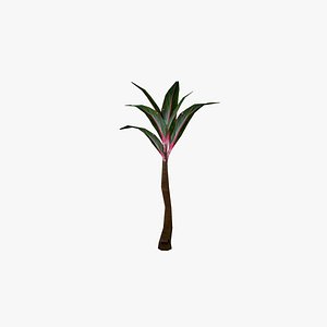 Outdoor_Indoor Plant