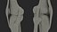 Knee Joint Model Rigged