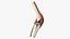 Knee Joint Model Rigged