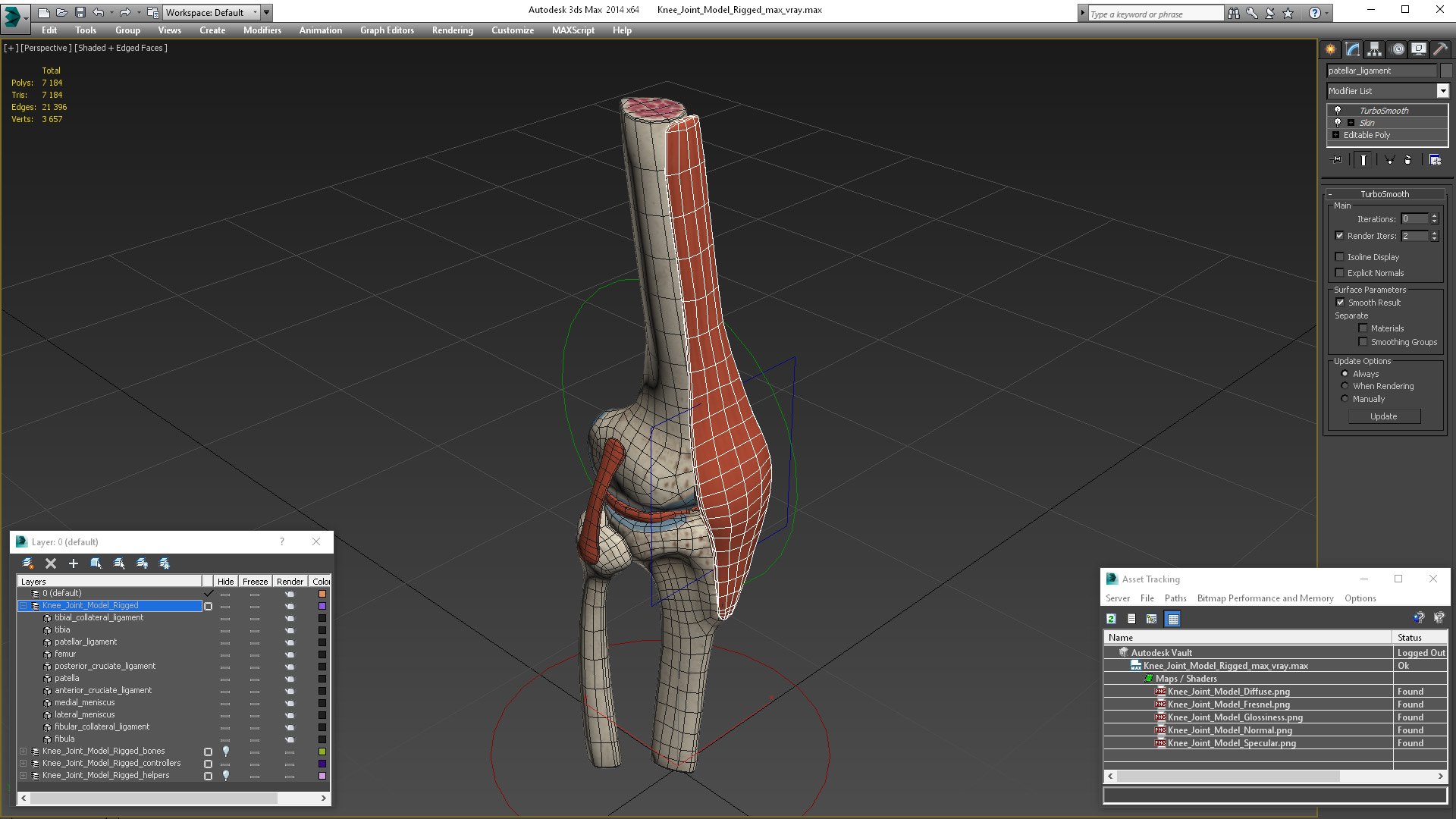 3D Knee Joint Model Rigged https://p.turbosquid.com/ts-thumb/zi/4PL5cK/Tm/kneejointmodelriggedmb3dmodel022/jpg/1719639254/1920x1080/fit_q87/1e643926eaef465d1ea1dde2ce384b606ca93ec7/kneejointmodelriggedmb3dmodel022.jpg