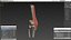 Knee Joint Model Rigged