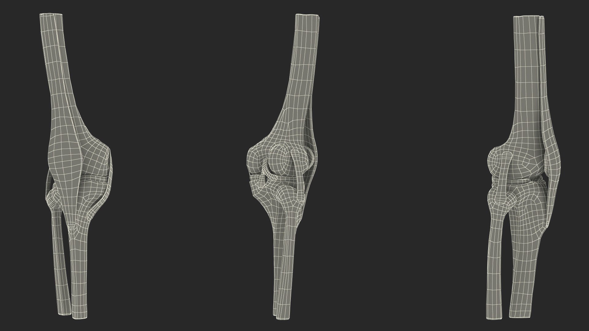 3d Knee Joint Model Rigged Turbosquid 2248564