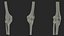 Knee Joint Model Rigged
