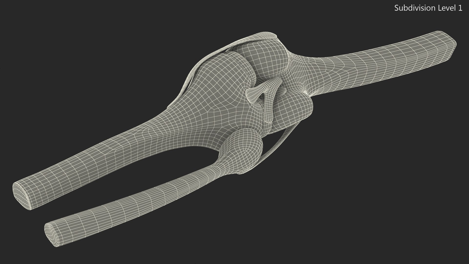 3D Knee Joint Model Rigged https://p.turbosquid.com/ts-thumb/zi/4PL5cK/wL/kneejointmodelriggedmb3dmodel019/jpg/1719639241/1920x1080/fit_q87/aeb56f60ad05ebae99ea845a0b2632db36ea1eda/kneejointmodelriggedmb3dmodel019.jpg