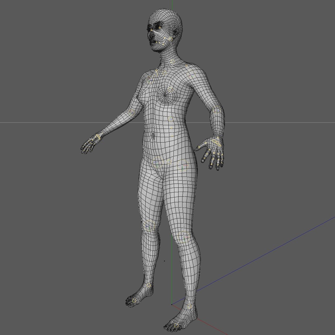 3d C4d Base Mesh 24 Year