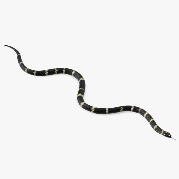 Free 3D Snake Models | TurboSquid