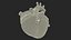 Bionic Robot Heart