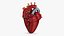 Bionic Robot Heart