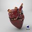 Bionic Robot Heart