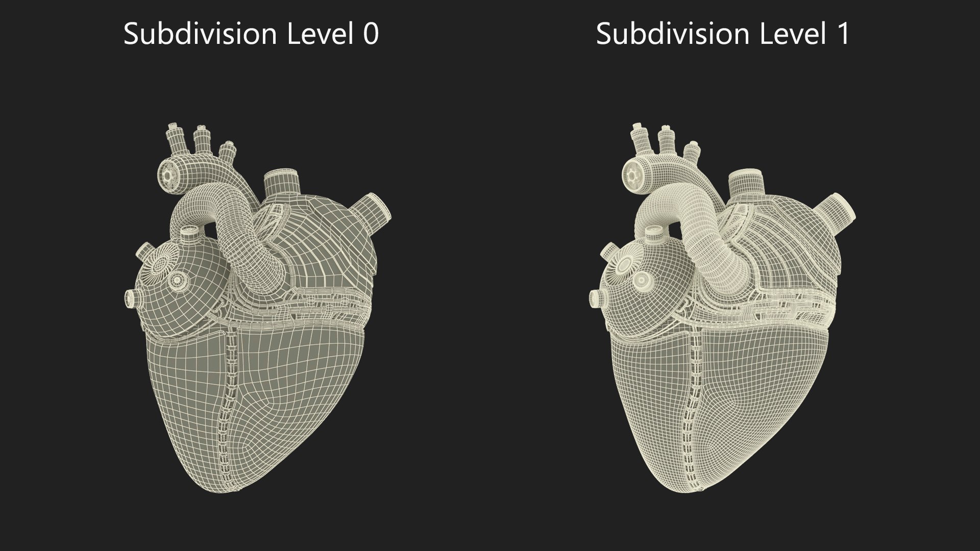 Bionic Robot Heart model https://p.turbosquid.com/ts-thumb/zi/O0sWq6/gS/bionicrobotheart3dsmodel018/jpg/1709252279/1920x1080/fit_q87/9b58fcb6203f2161cbfa7c1fa2cdd6f4e34c1545/bionicrobotheart3dsmodel018.jpg