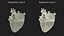 Bionic Robot Heart